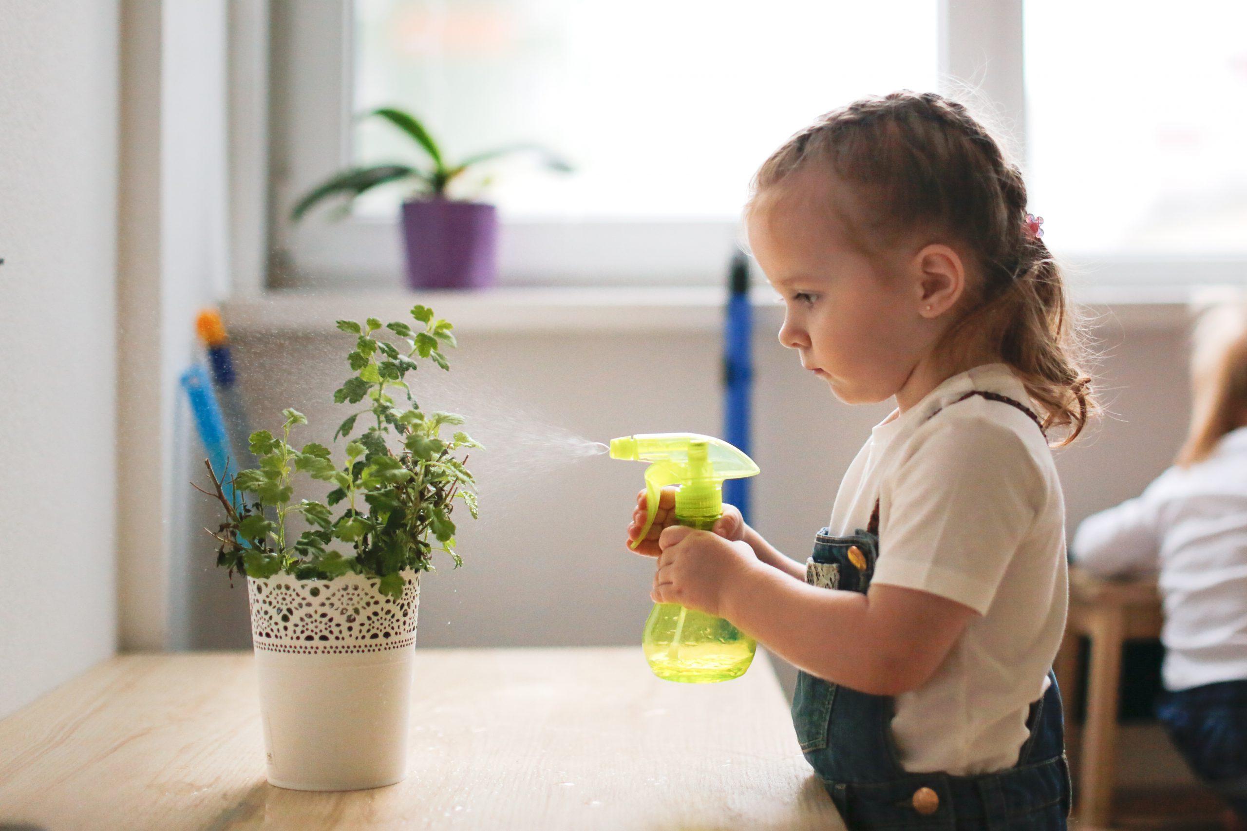 toddler with brown hair looks after home flowers